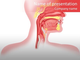 Diagram Oxygen Human PowerPoint Template