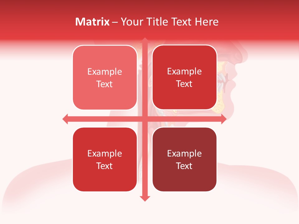 Diagram Oxygen Human PowerPoint Template
