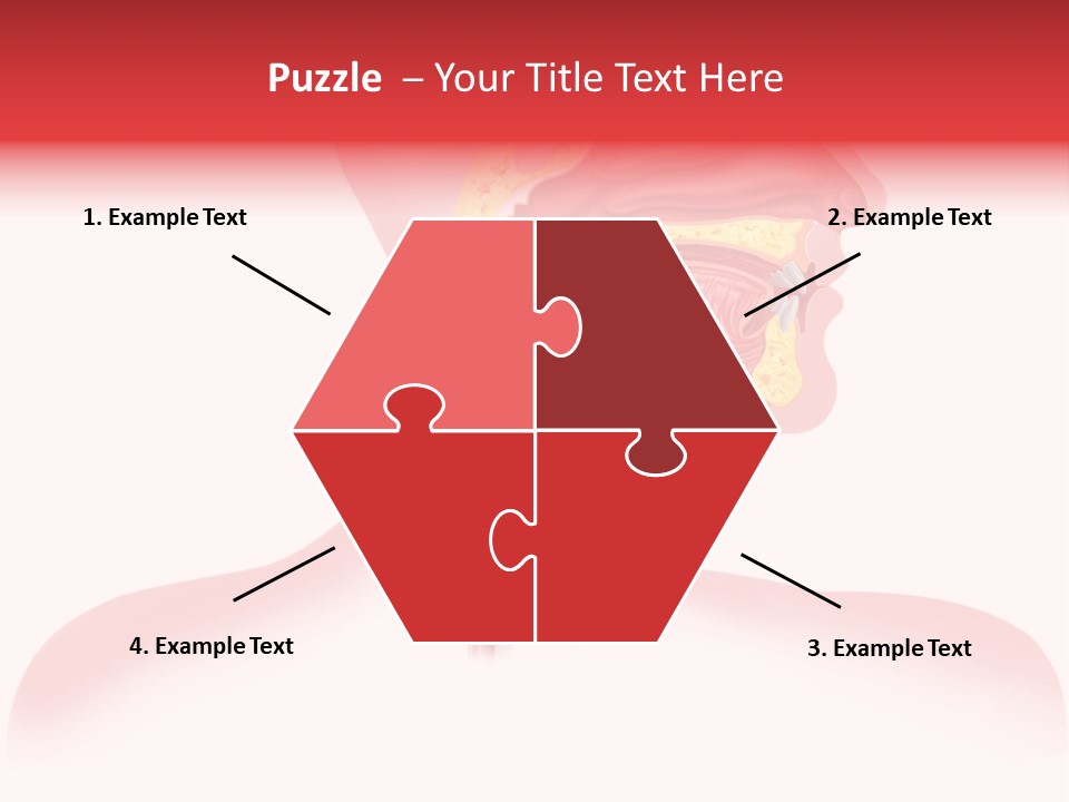 Diagram Oxygen Human PowerPoint Template