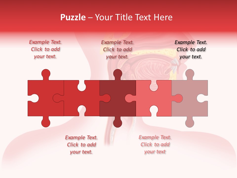 Diagram Oxygen Human PowerPoint Template