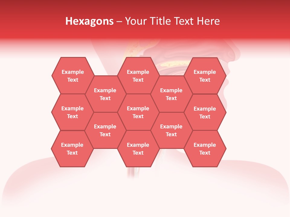 Diagram Oxygen Human PowerPoint Template