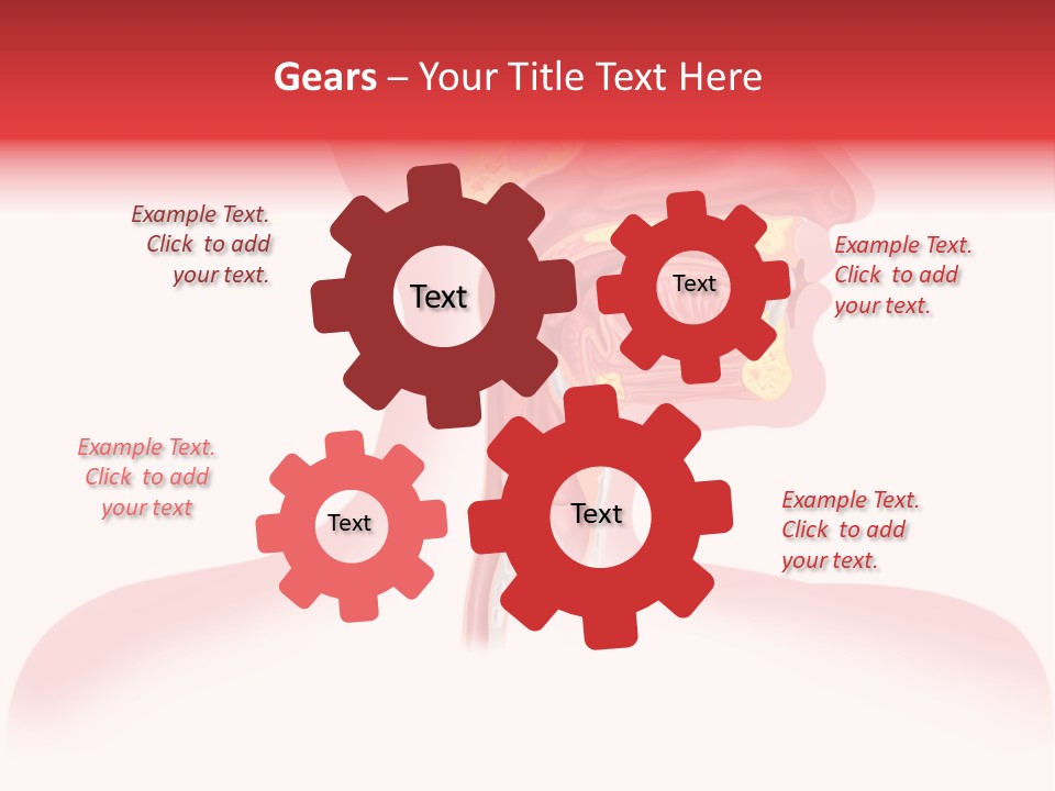 Diagram Oxygen Human PowerPoint Template