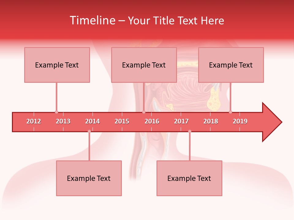Diagram Oxygen Human PowerPoint Template