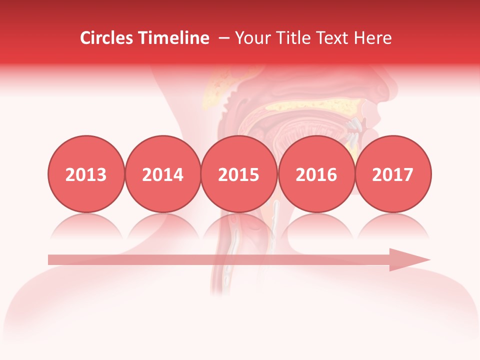 Diagram Oxygen Human PowerPoint Template