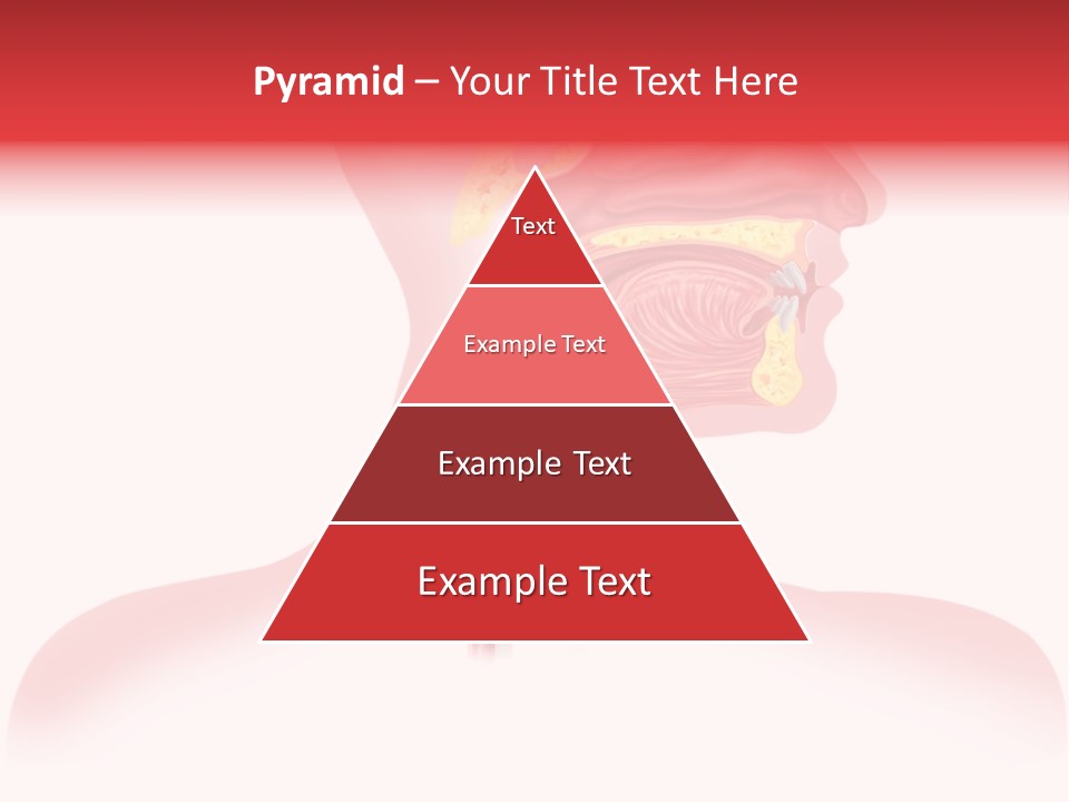 Diagram Oxygen Human PowerPoint Template
