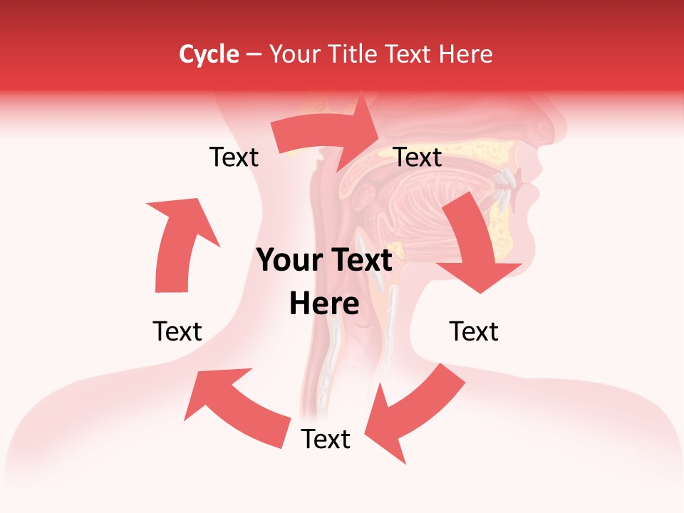 Diagram Oxygen Human PowerPoint Template