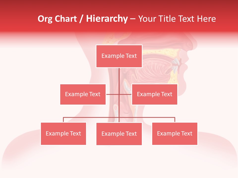 Diagram Oxygen Human PowerPoint Template