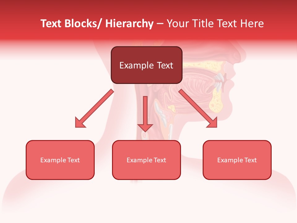 Diagram Oxygen Human PowerPoint Template