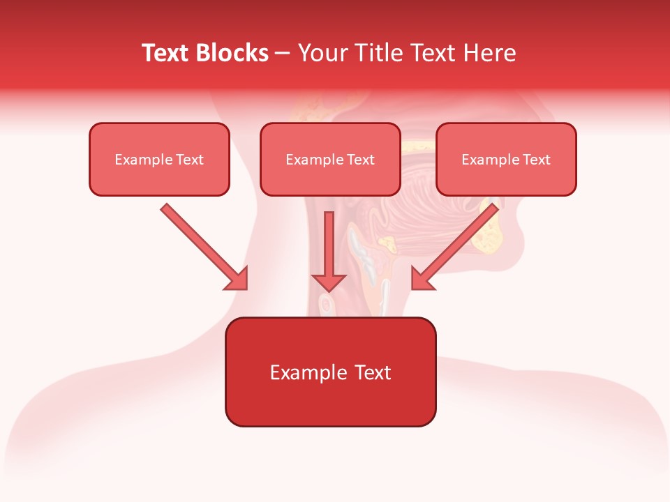 Diagram Oxygen Human PowerPoint Template