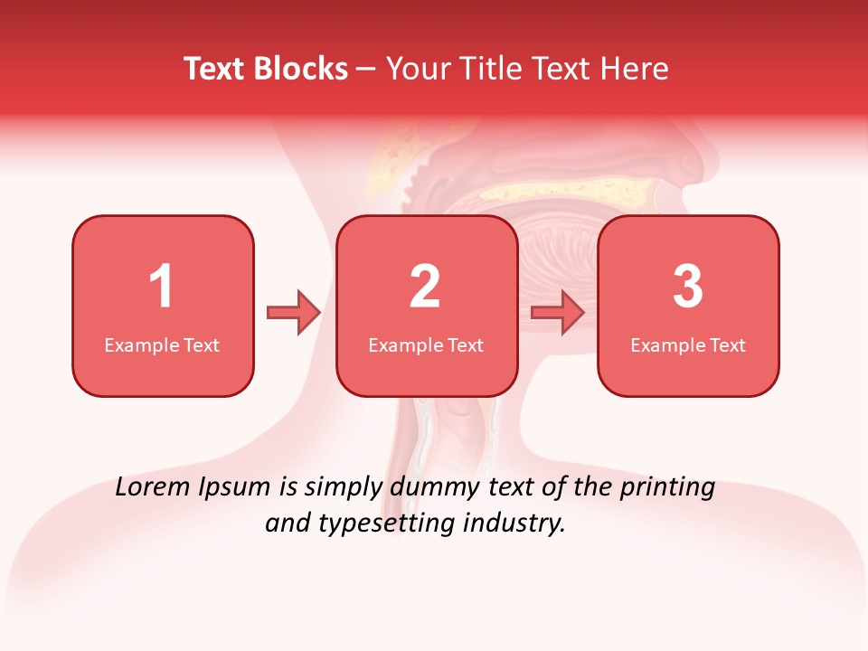 Diagram Oxygen Human PowerPoint Template