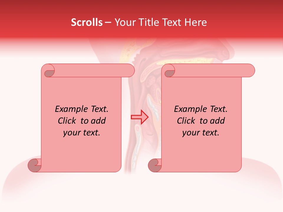 Diagram Oxygen Human PowerPoint Template