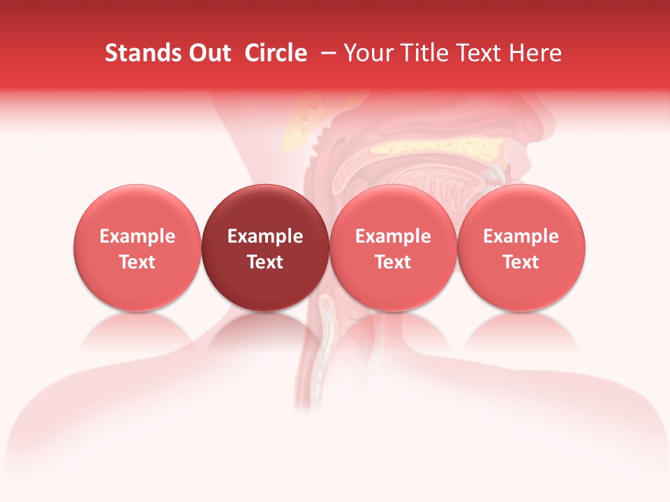 Diagram Oxygen Human PowerPoint Template