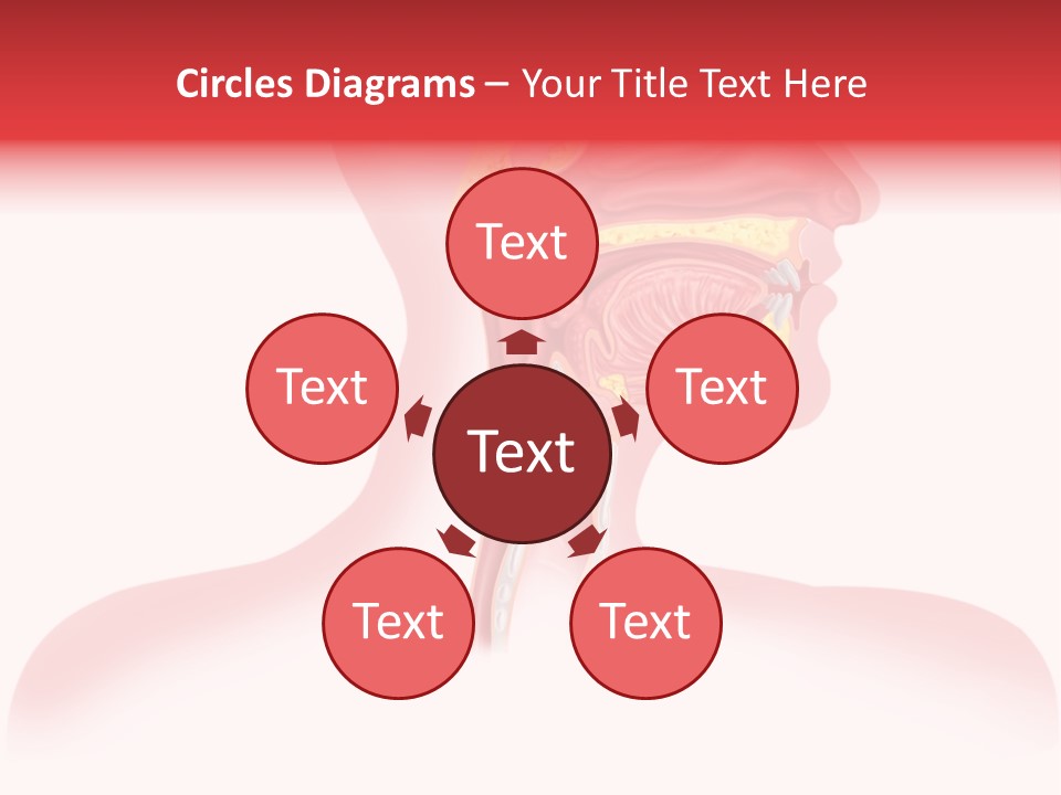 Diagram Oxygen Human PowerPoint Template