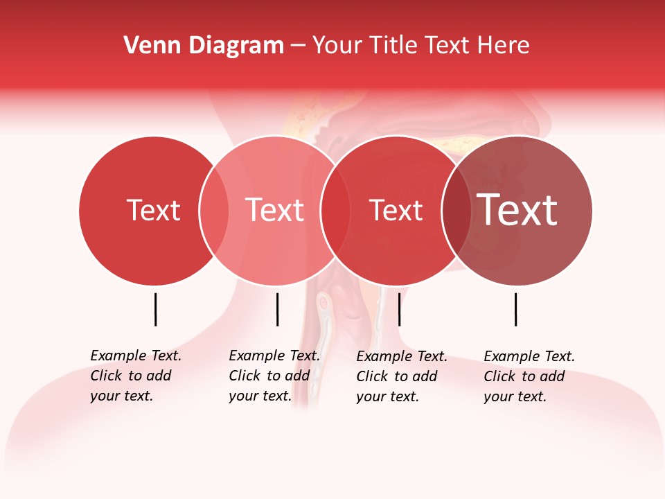Diagram Oxygen Human PowerPoint Template