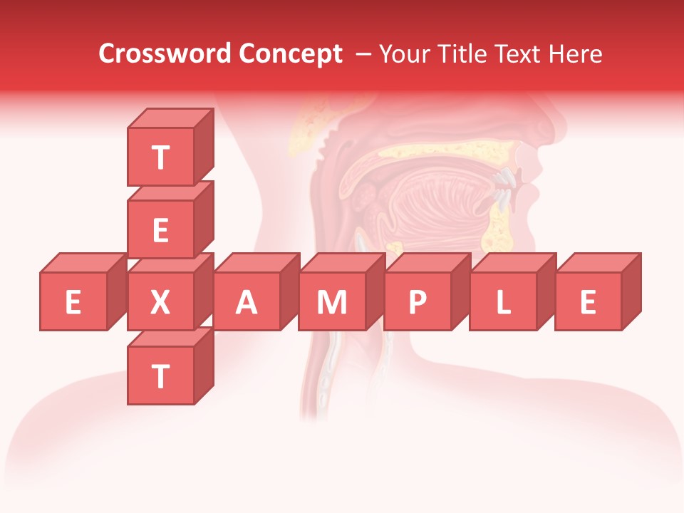 Diagram Oxygen Human PowerPoint Template