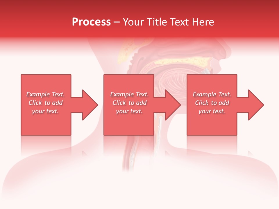 Diagram Oxygen Human PowerPoint Template