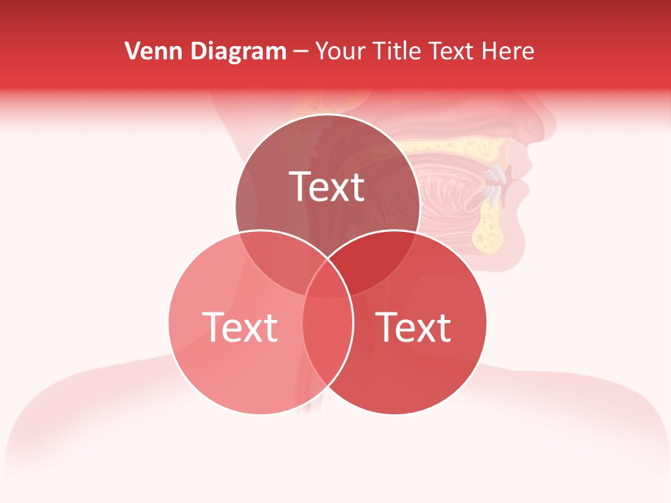 Diagram Oxygen Human PowerPoint Template