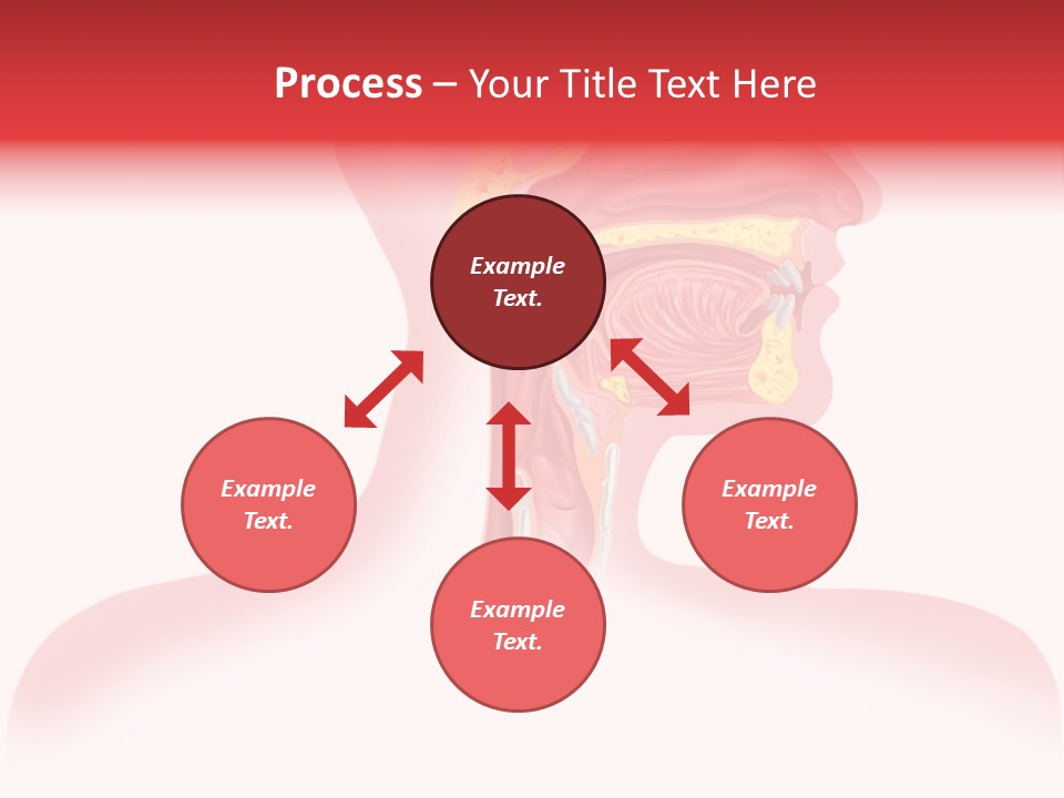 Diagram Oxygen Human PowerPoint Template