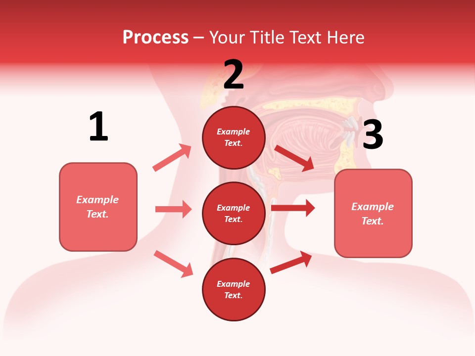 Diagram Oxygen Human PowerPoint Template