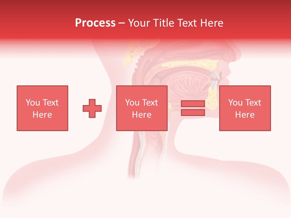 Diagram Oxygen Human PowerPoint Template