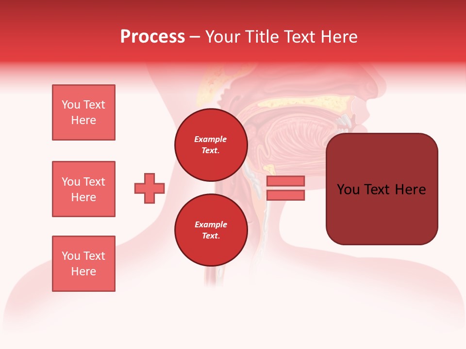 Diagram Oxygen Human PowerPoint Template