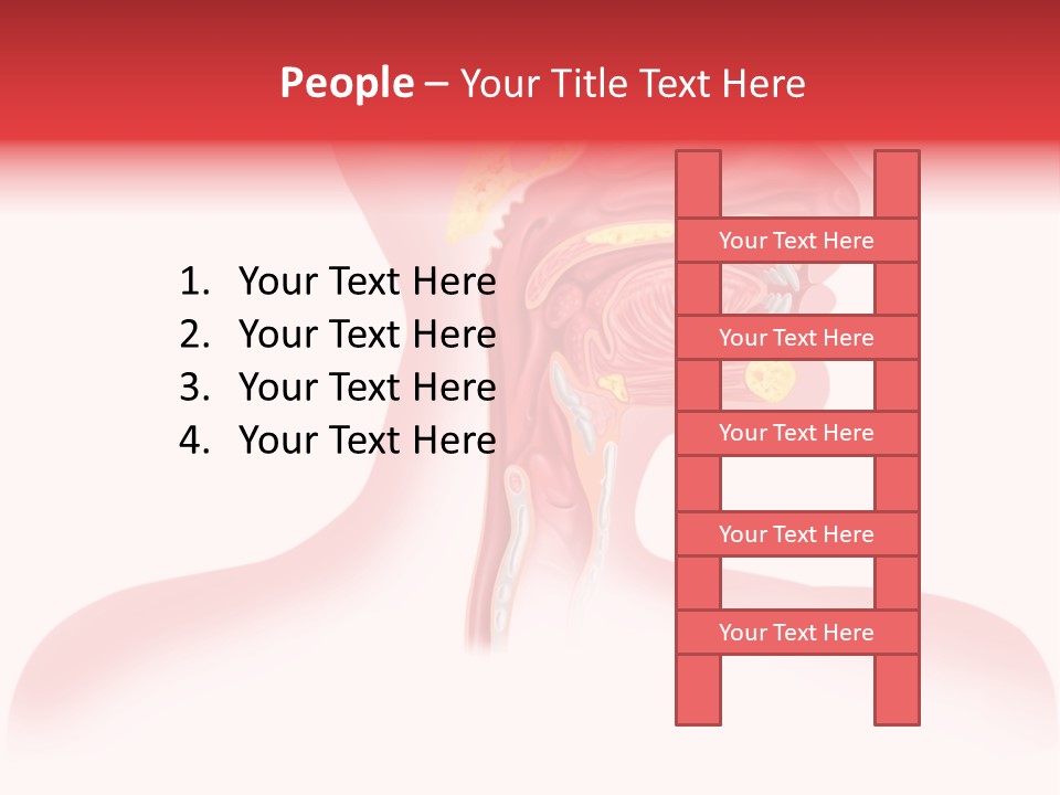 Diagram Oxygen Human PowerPoint Template