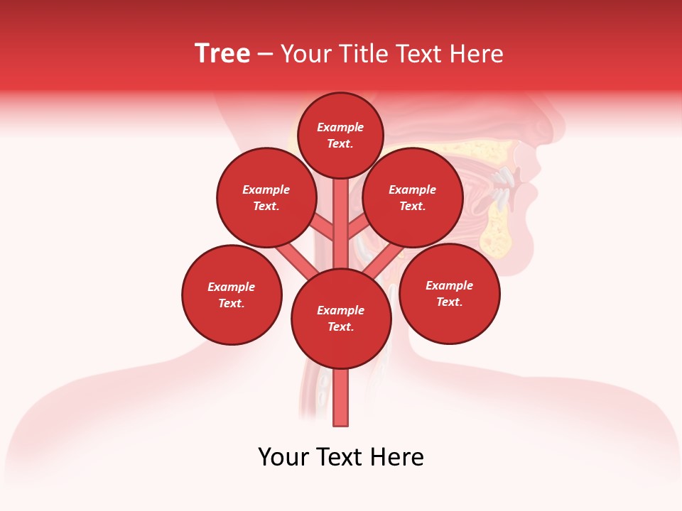 Diagram Oxygen Human PowerPoint Template