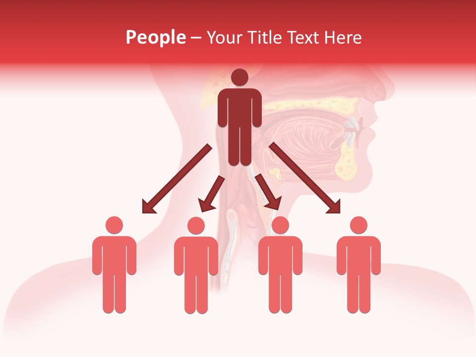 Diagram Oxygen Human PowerPoint Template