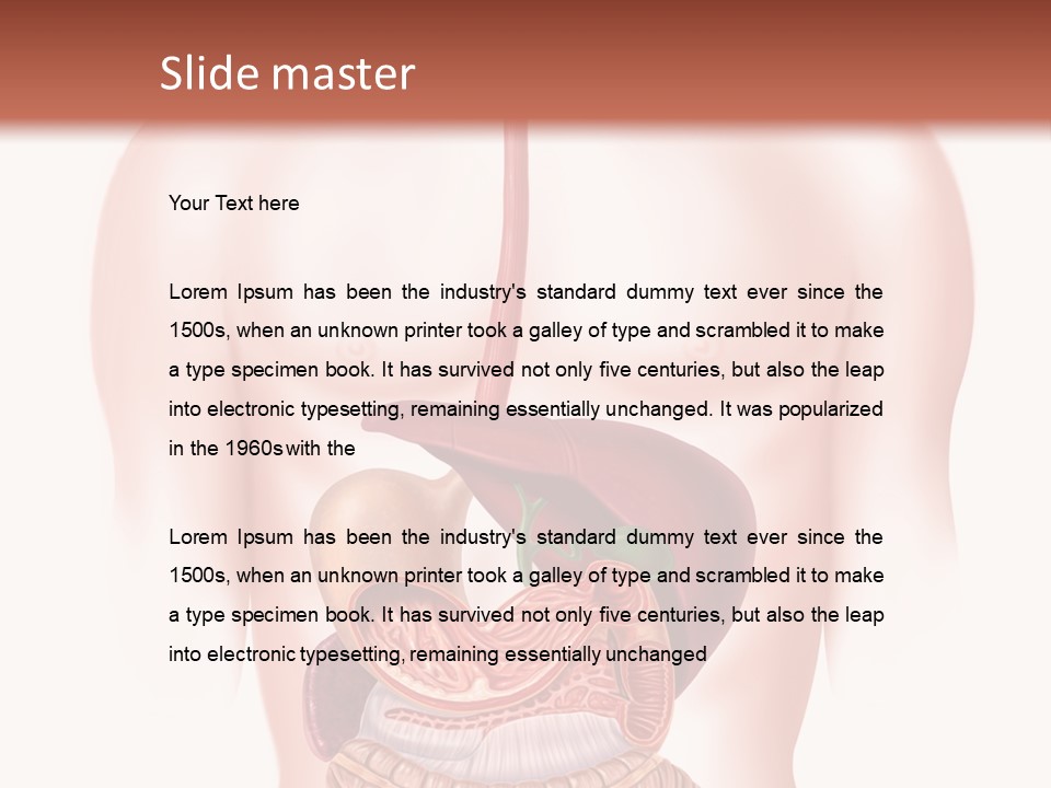 Symbol Health Cecum PowerPoint Template