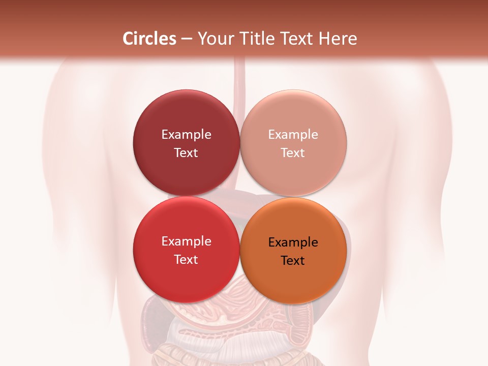 Symbol Health Cecum PowerPoint Template