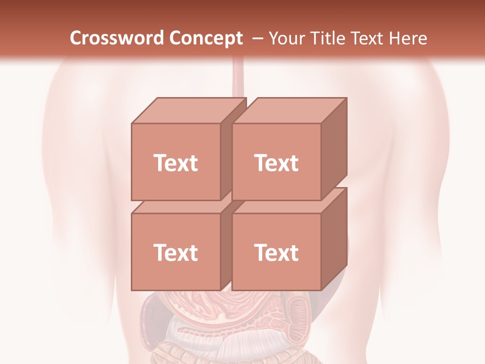 Symbol Health Cecum PowerPoint Template