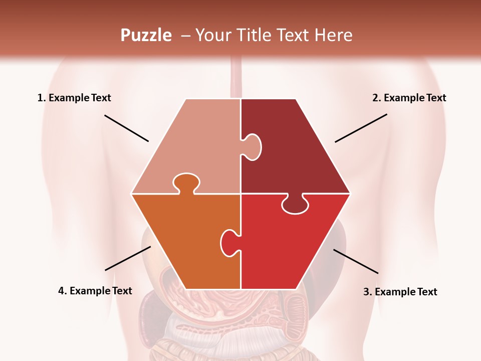 Symbol Health Cecum PowerPoint Template