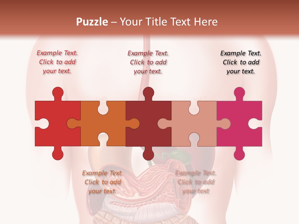 Symbol Health Cecum PowerPoint Template
