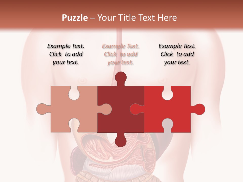 Symbol Health Cecum PowerPoint Template