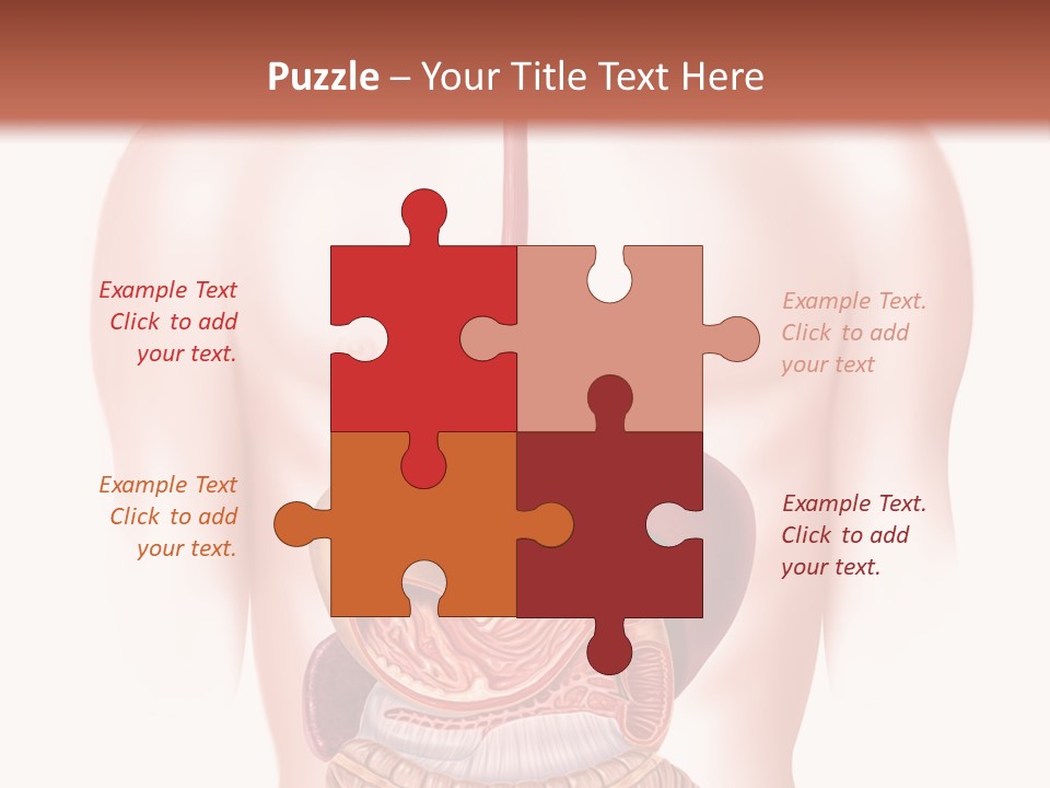 Symbol Health Cecum PowerPoint Template