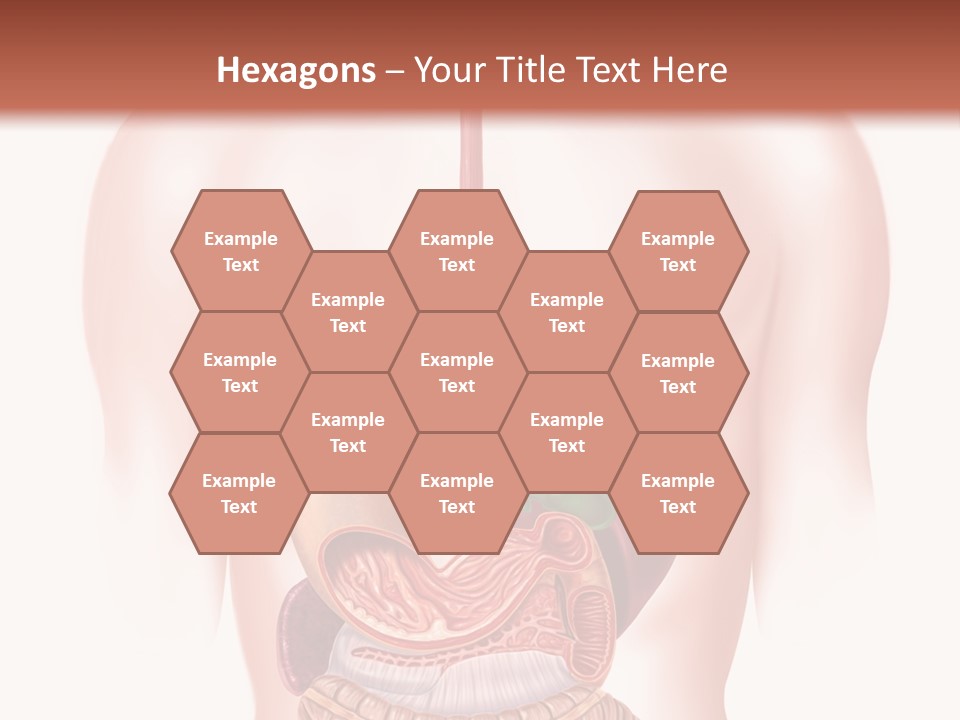 Symbol Health Cecum PowerPoint Template