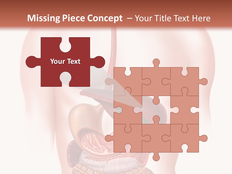 Symbol Health Cecum PowerPoint Template