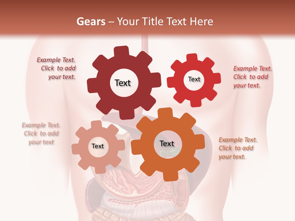 Symbol Health Cecum PowerPoint Template