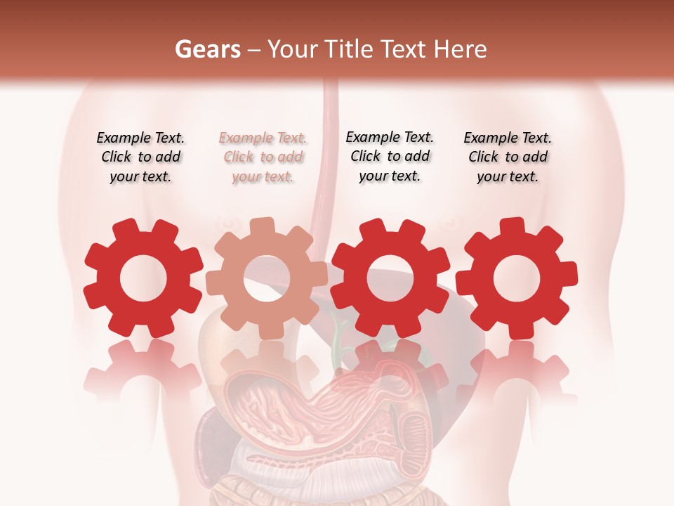 Symbol Health Cecum PowerPoint Template