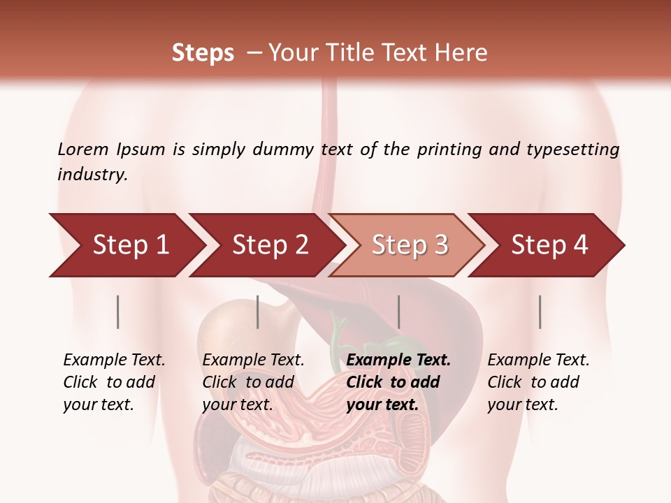 Symbol Health Cecum PowerPoint Template