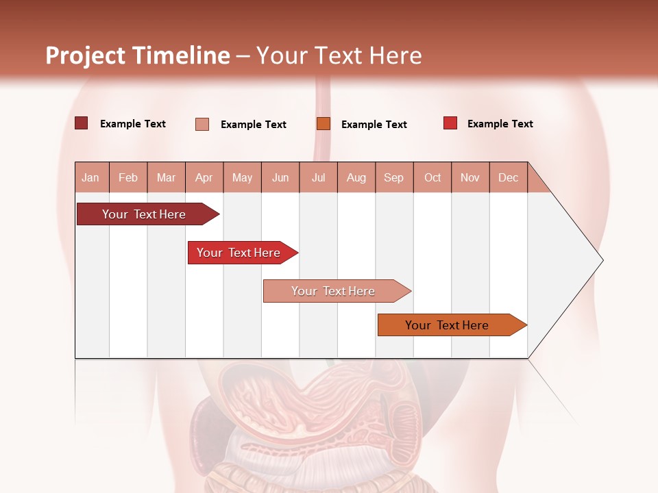 Symbol Health Cecum PowerPoint Template