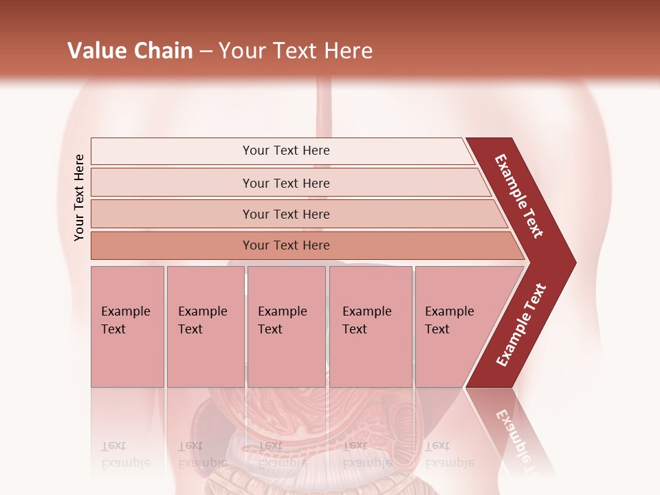 Symbol Health Cecum PowerPoint Template