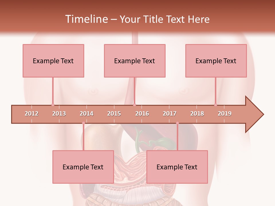 Symbol Health Cecum PowerPoint Template