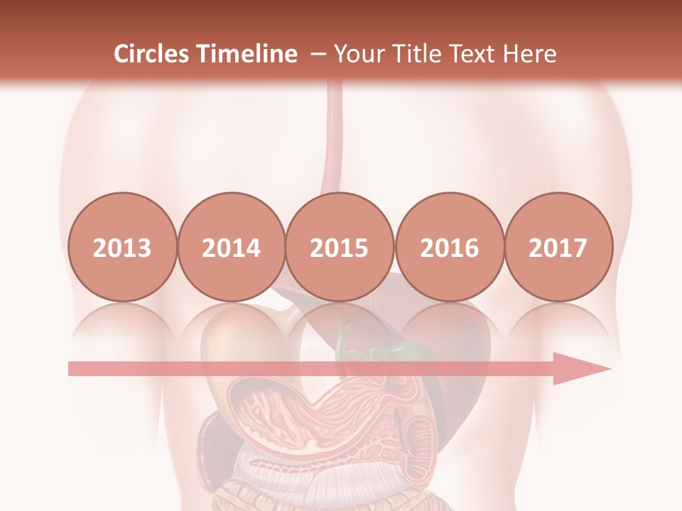 Symbol Health Cecum PowerPoint Template