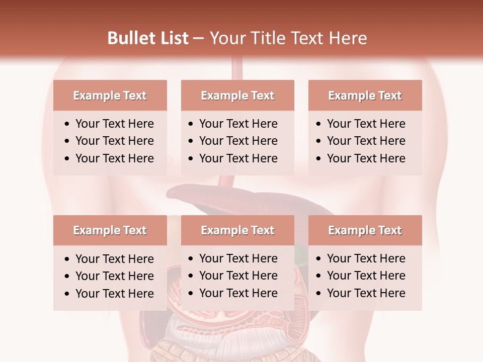 Symbol Health Cecum PowerPoint Template
