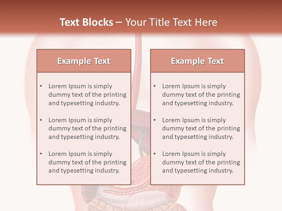 Symbol Health Cecum PowerPoint Template