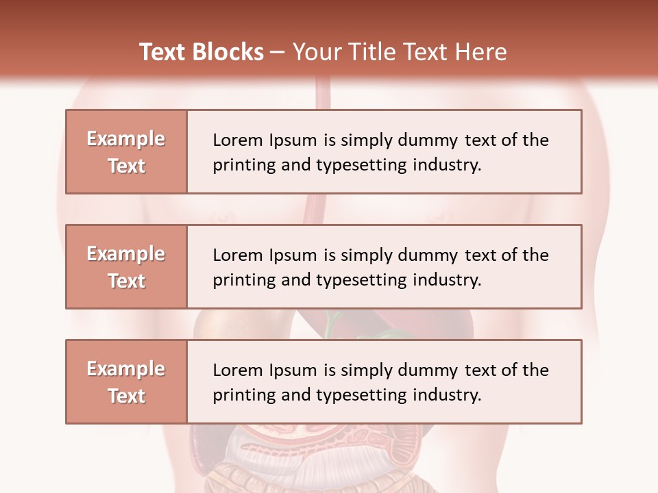 Symbol Health Cecum PowerPoint Template