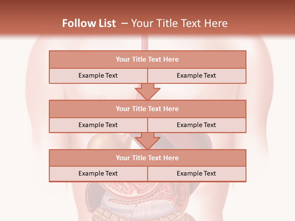 Symbol Health Cecum PowerPoint Template