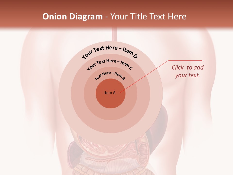 Symbol Health Cecum PowerPoint Template