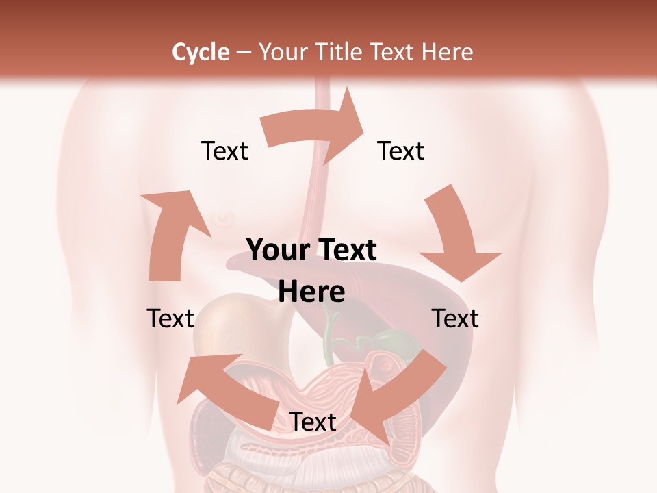 Symbol Health Cecum PowerPoint Template